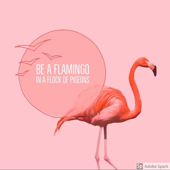 OFFERS ALWAYS WELCOMEπΉπΊπ·π»πΈπΌ - Picture 3 of 4